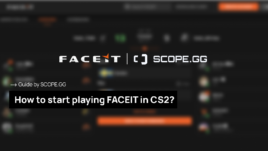 FaceIt play material guide